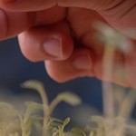 banner1