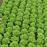 banner6