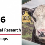 Banner-A4.7_FINAL_Conference-workshops