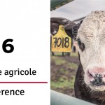 Banner-A4.7_FINAL_Conference-workshops-FR