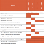 AIC2018-PartnershipOpportunitiesChart-Dec15 (Screenshot)