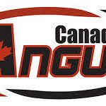 Chief Executive Officer