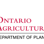 Assistant Professor in Forage and Service Crops